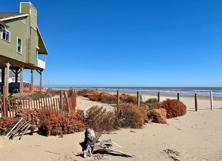 17 mejores playas en Galveston, TX