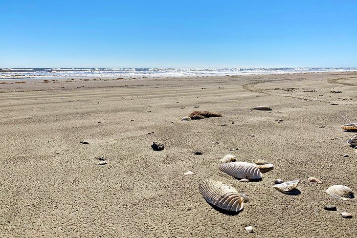 17 mejores playas en Galveston, TX