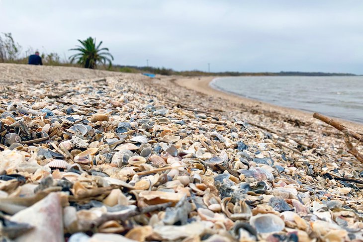 17 mejores playas en Galveston, TX