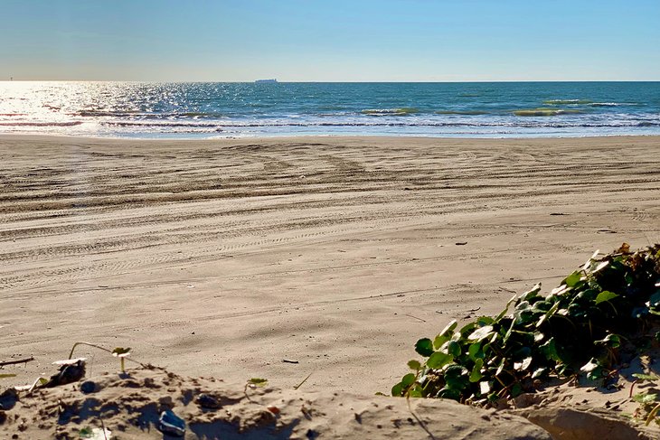 Las 15 mejores playas cerca de Houston