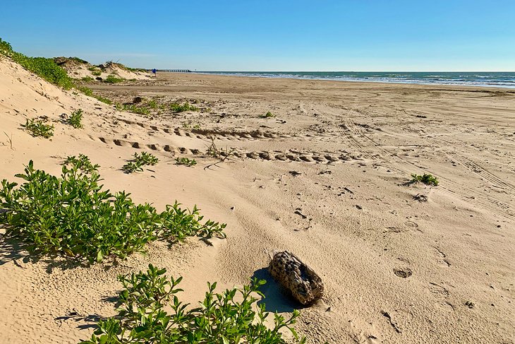 Quintana Beach