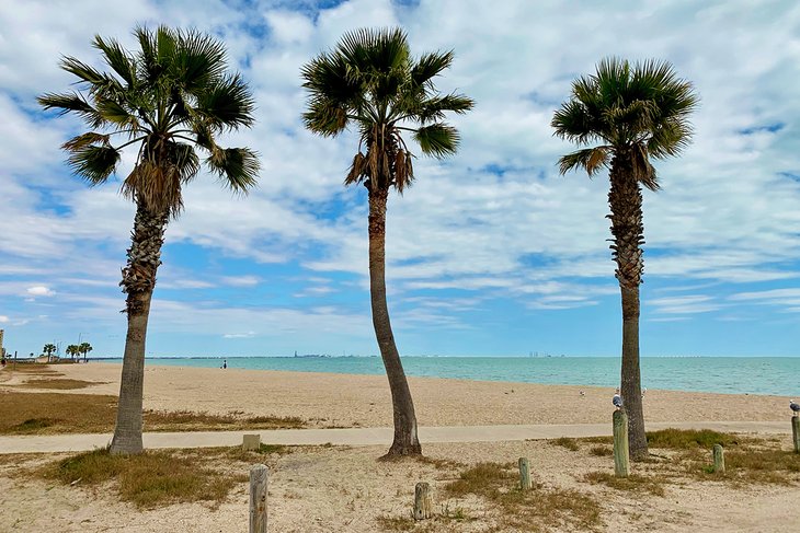 Las 14 mejores playas de Port Aransas, Texas