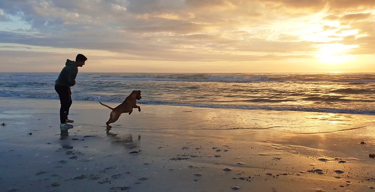 Las 14 mejores playas de Port Aransas, Texas