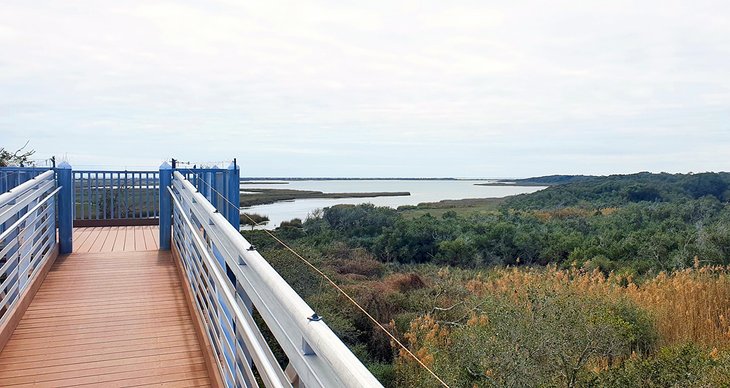 Aransas National Wildlife Refuge