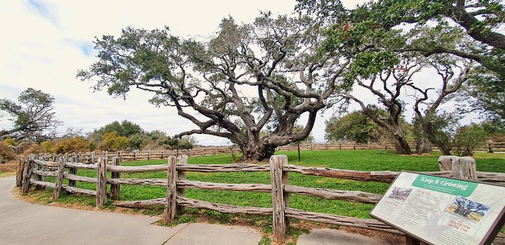 15 cosas mejor valoradas para hacer en Rockport, TX