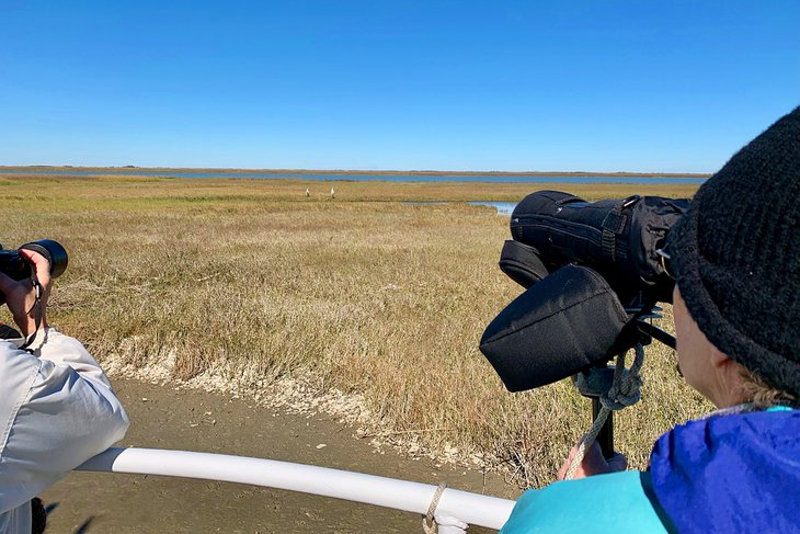 Whooping Crane Boat Tour