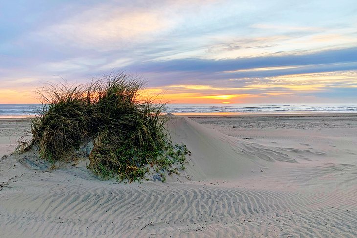 14 mejores playas en South Padre Island, TX