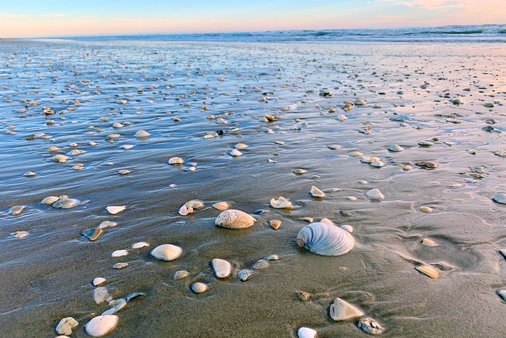 14 mejores playas en South Padre Island, TX