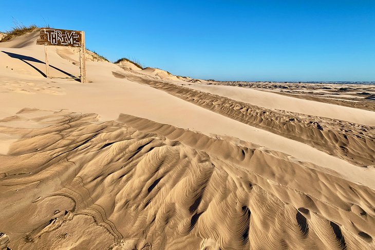 14 mejores playas en South Padre Island, TX