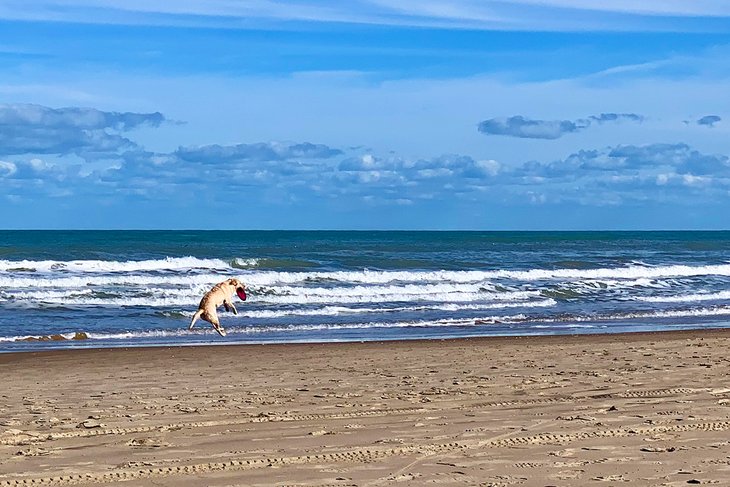 14 mejores playas en South Padre Island, TX