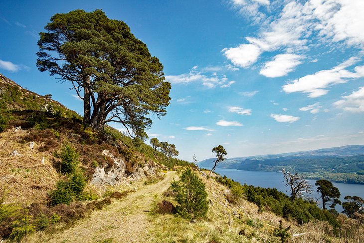 Great Glen Cycle Route