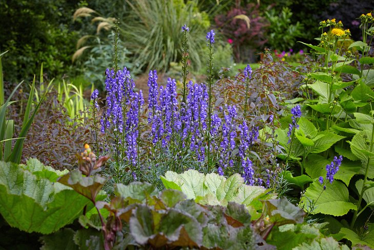 Inverness Botanic Gardens