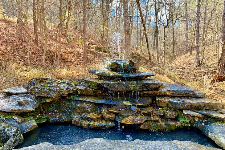 Natural spring in the Ozarks