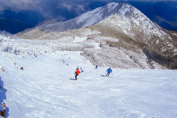 Little Buller Spur at Mt Buller