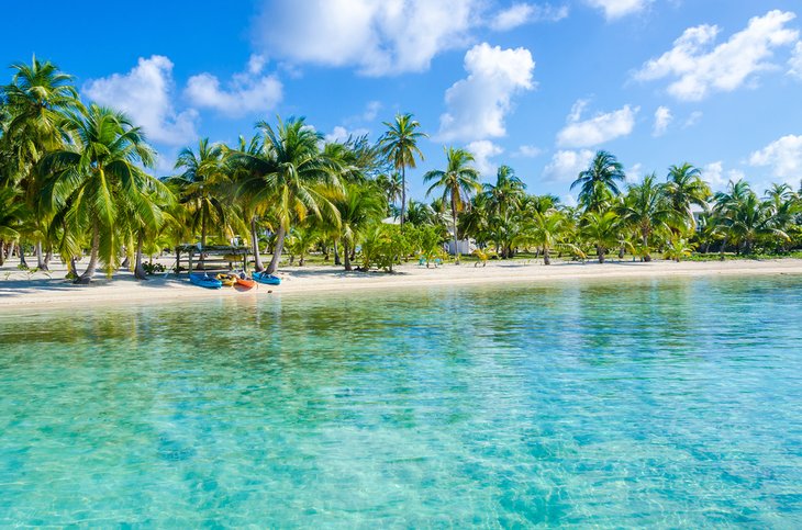 Palm-lined beach in Belize