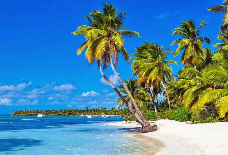 Palm lined Caribbean beach in the Dominican Republic