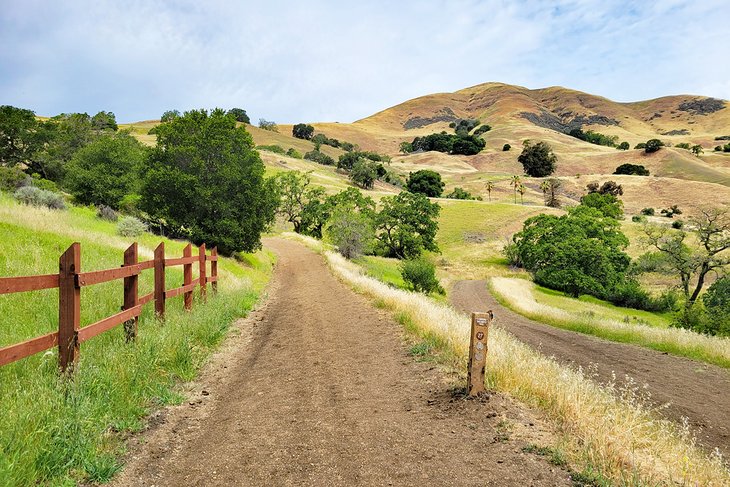 Alum Rock Park