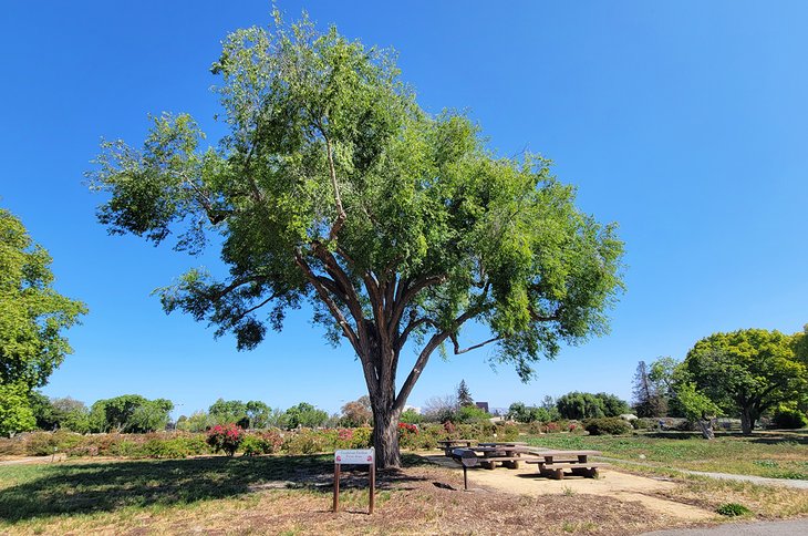 12 mejores parques en San José