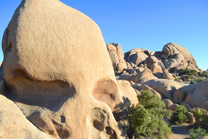 Skull Rock, Joshua Tree National Park