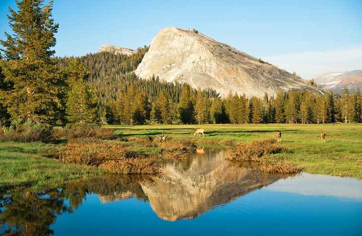 Tuolumne Meadows, Yosemite National Park