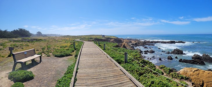 Moonstone Beach Boardwalk Trail, Cambria