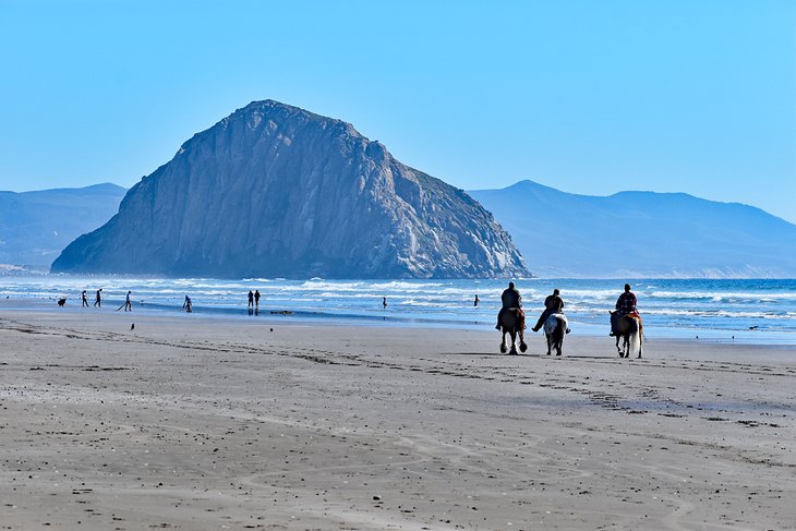 Horses on the beach at Morro Bay