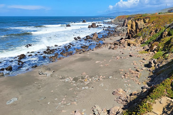 12 mejores playas en Bodega Bay, CA 12 mejores playas en Bodega Bay, CA