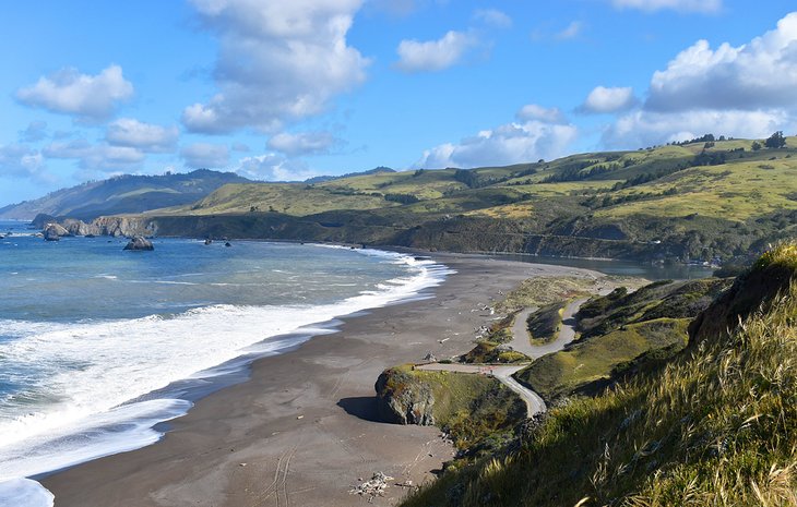 Goat Rock Beach