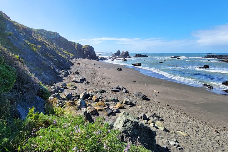 12 mejores playas en Bodega Bay, CA