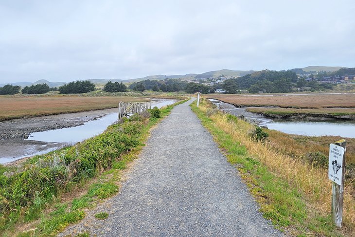 Bird Walk Coastal Access Trail