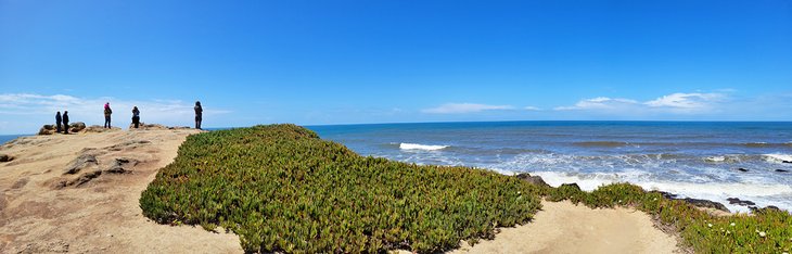 Panorama of Bodega Head