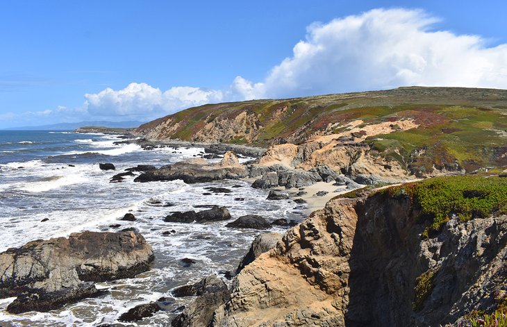 12 mejores cosas para hacer en Bodega Bay, CA