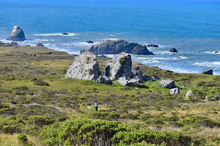 12 mejores cosas para hacer en Bodega Bay, CA