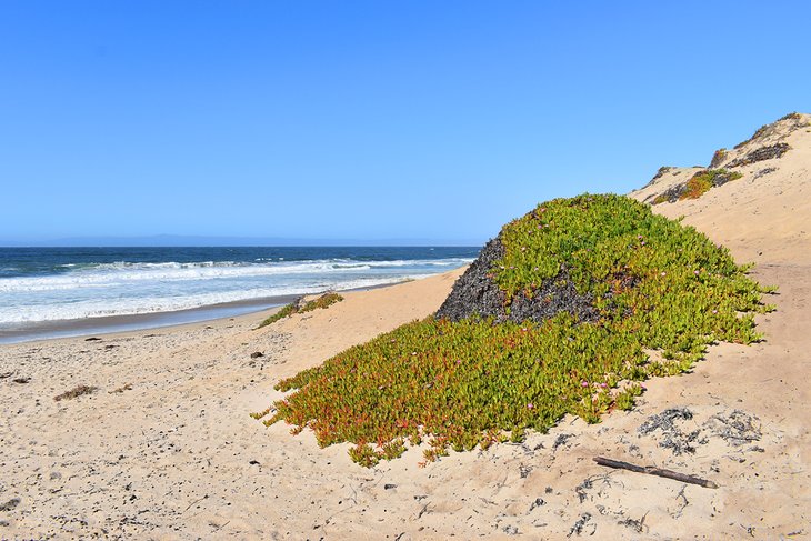 Del Monte State Beach