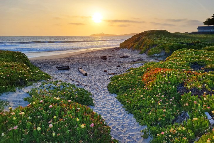 Half Moon Bay Coastal Trail