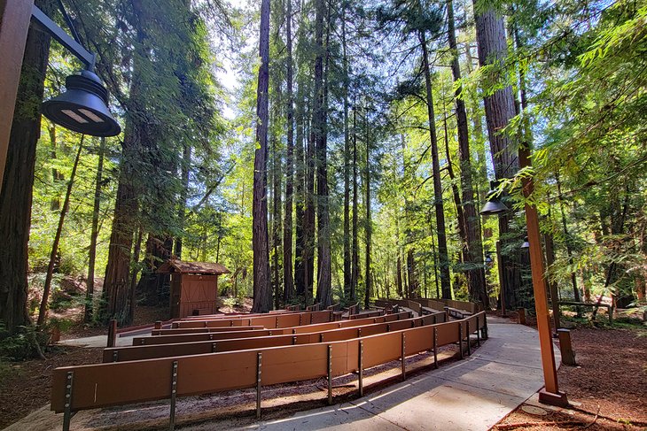 Amphitheater in Portola Redwoods State Park