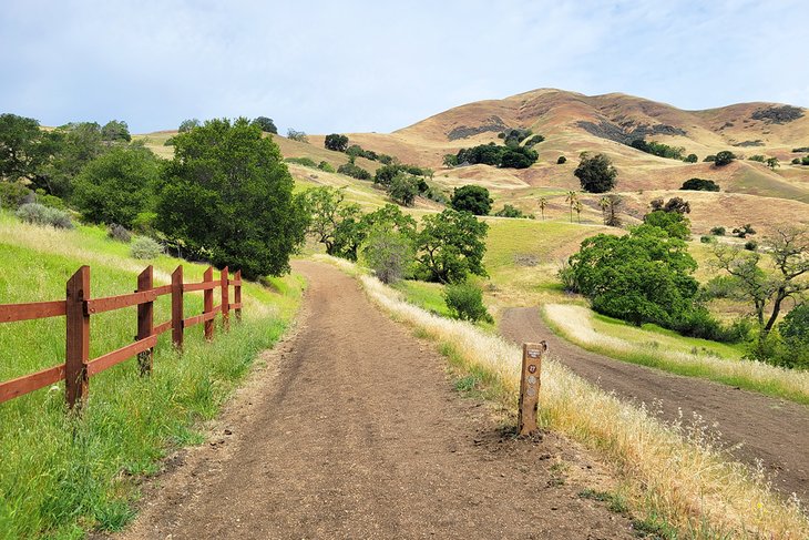 Alum Rock Park