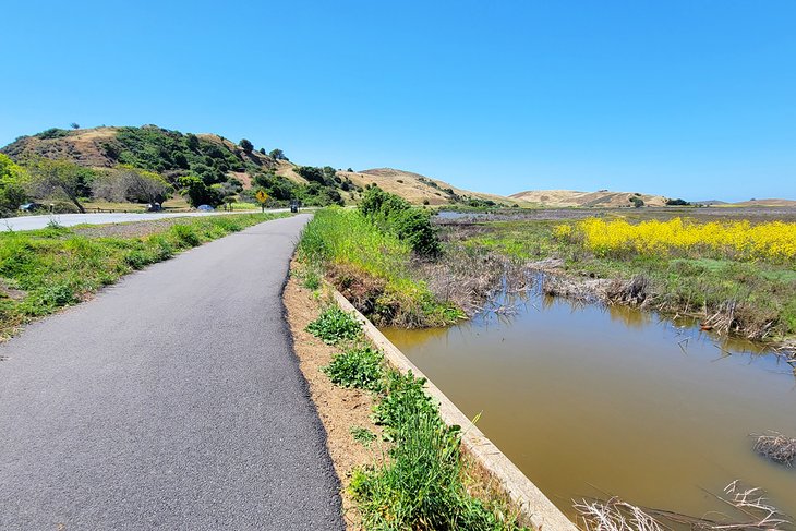 Bayview Trail, Coyote Hills Regional Park