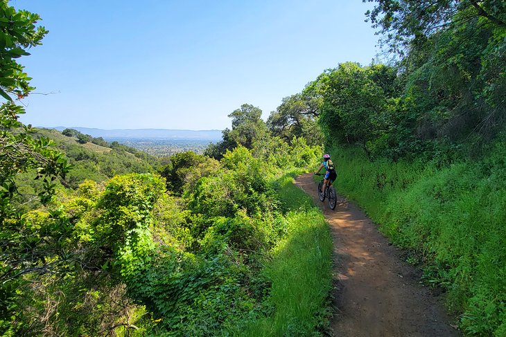 Seven Springs Loop Trail