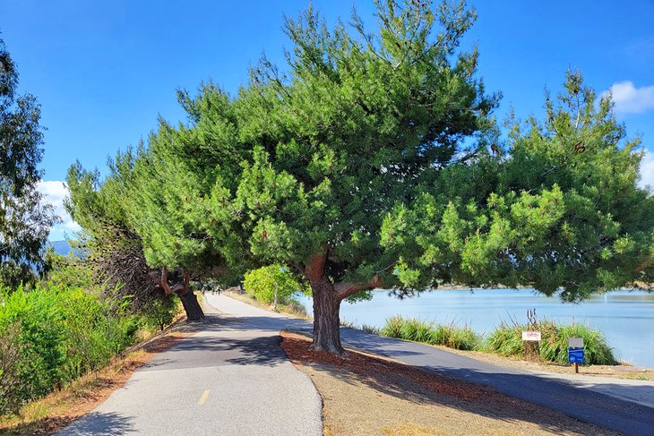 Los Gatos Creek Trail