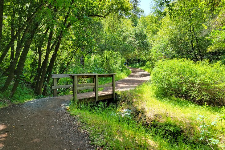 Wildcat Loop Trail