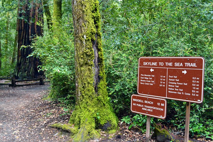 Skyline-to-the-Sea Trail