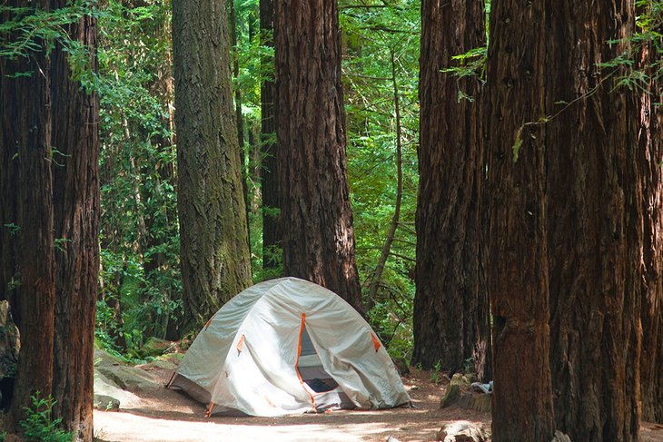 Campsite at Big Basin Redwoods State Park