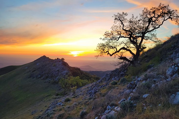 Fremont Peak