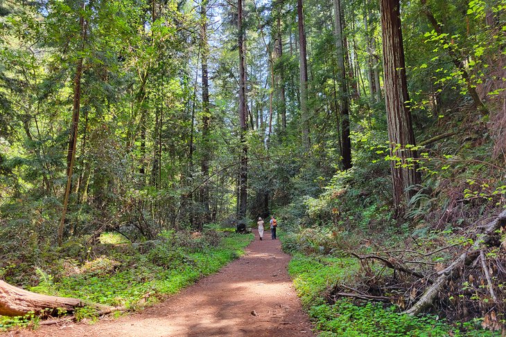 Fall Creek Trail