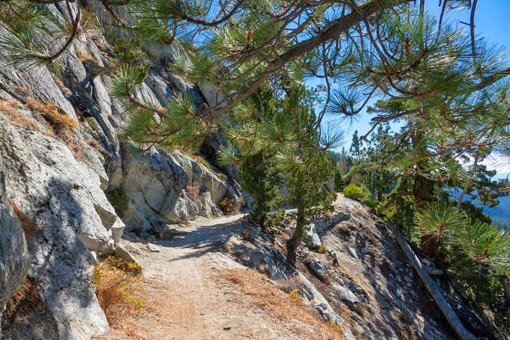 Incline Flume Trail