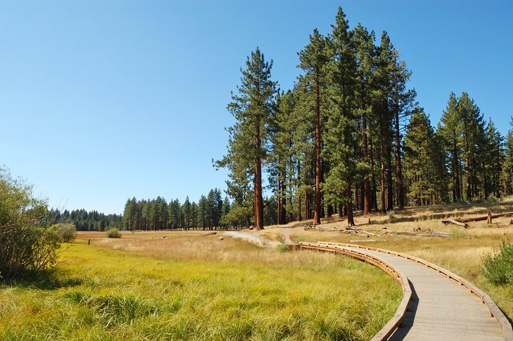 Tahoe Interpretative Loop Trail