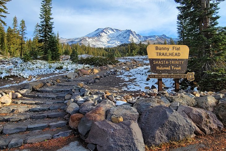 Mount Shasta from Panther Meadows