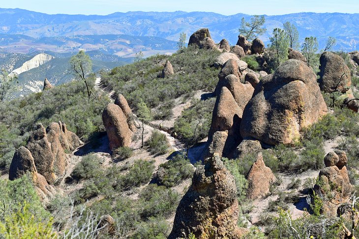 Pinnacles National Park