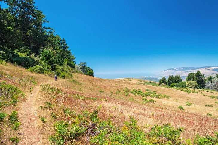 Pomo Canyon Trail